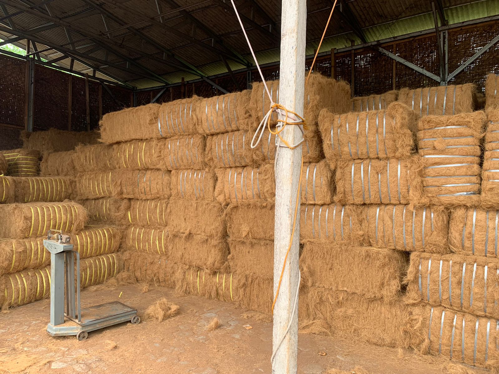 Coir / Cocofiber / Coconut Fiber