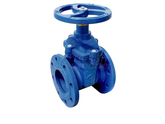 Resilient Seated Gate Valve
