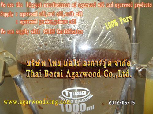 agarwood oil-gaharu oil-oud oil-oud