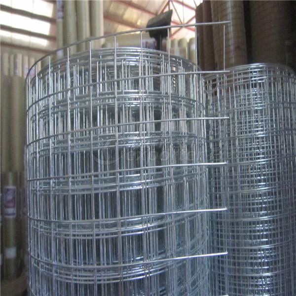 Electro Galvanized Welded Wire Mesh