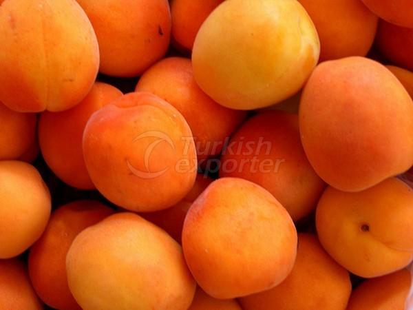 Apricot