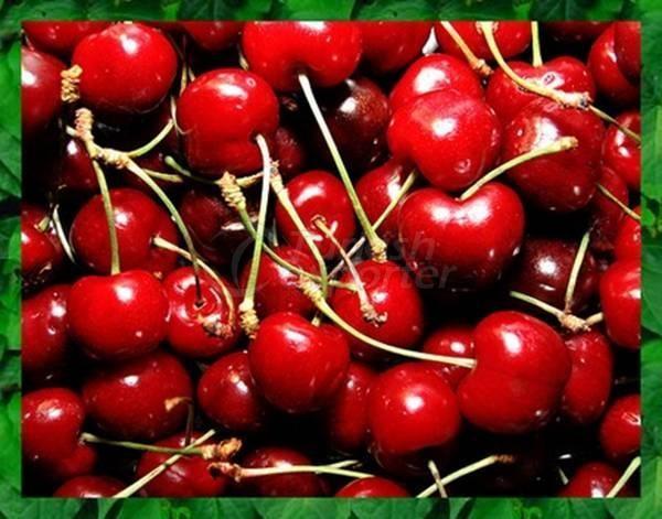 Cherry