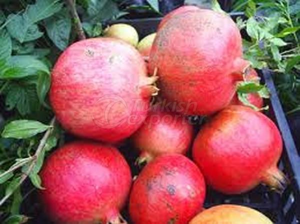 Pomegranate