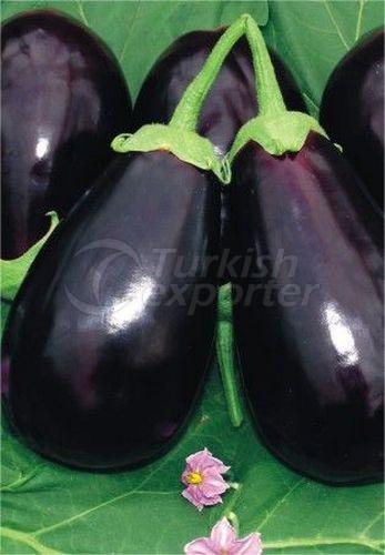 Eggplant