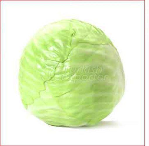 White Cabbage