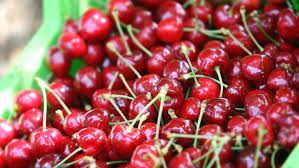 Fresh New Season CHERRY ready for EXPORT During 2 Months 