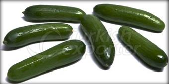 Cucumber