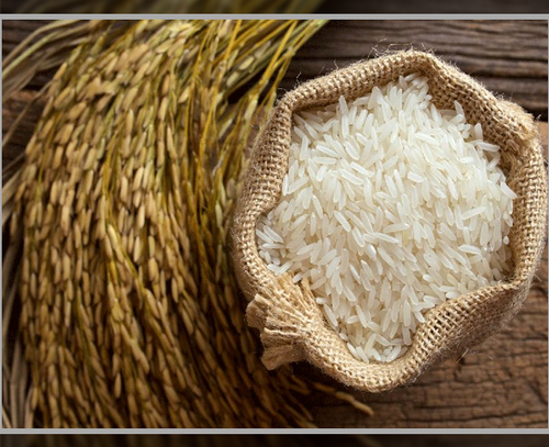 Basmati Rice - Non Basmati Rice  