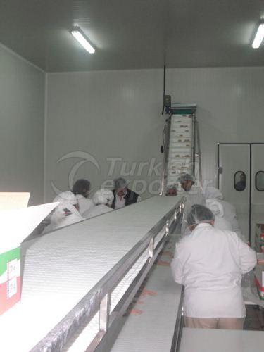 Meat Ball-Hamburger Cooling-Freezing Systems