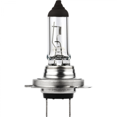 Halogen Bulbs