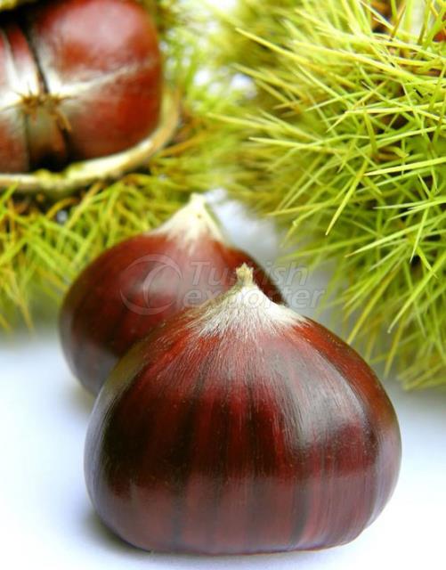 Chestnut