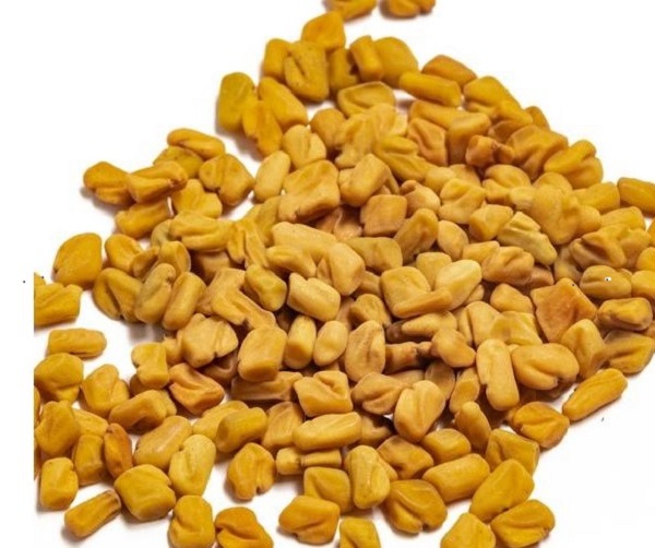 Fenugreek Seeds ( Methi Dana)