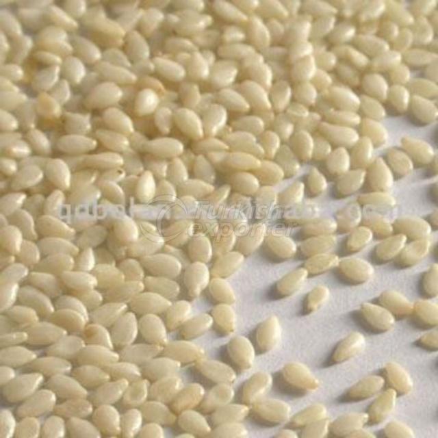 Pumpkin Seeds