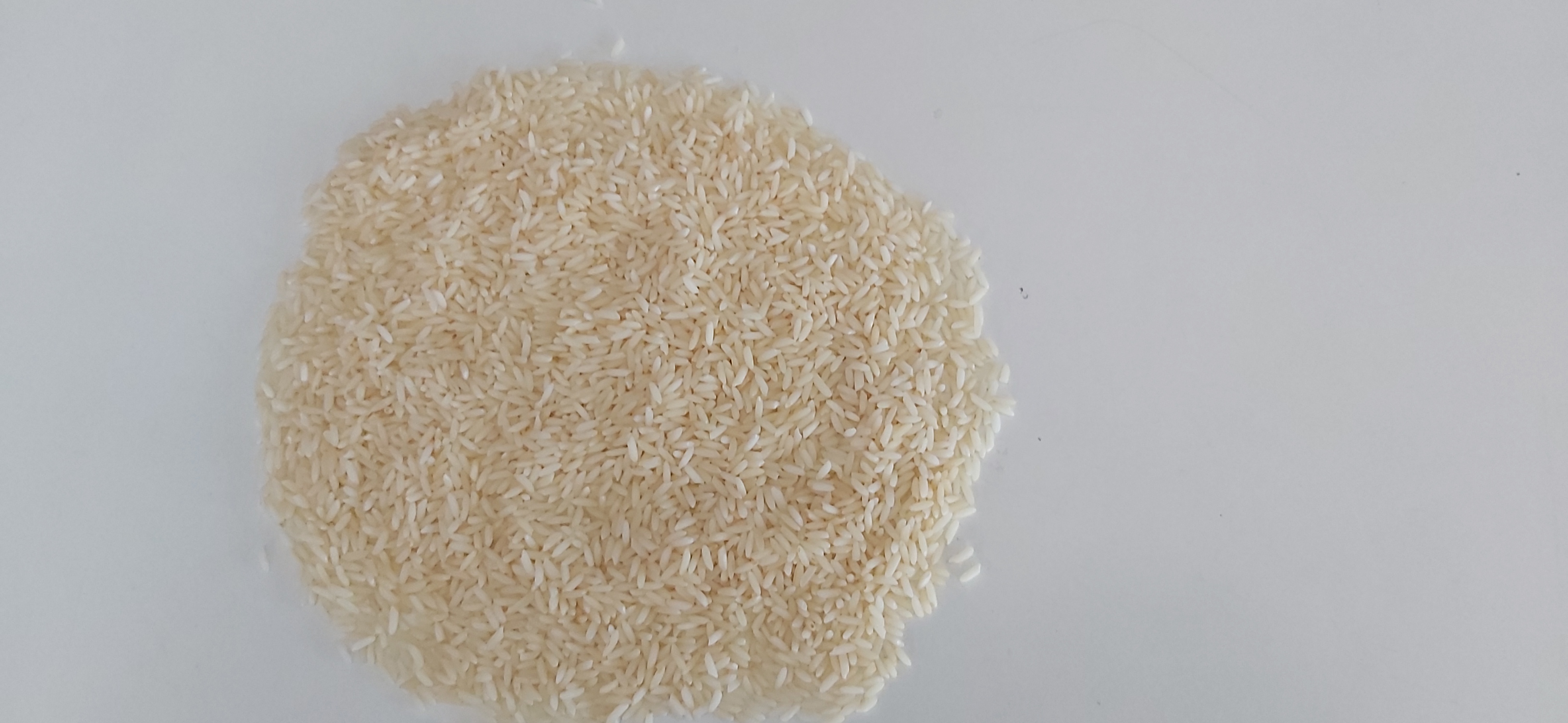 Non-Basmati Rice