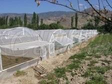 Classical Greenhouses Tunnel