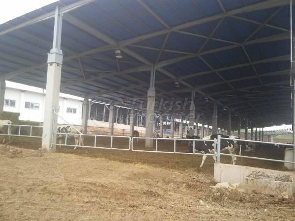 Animal Shelters