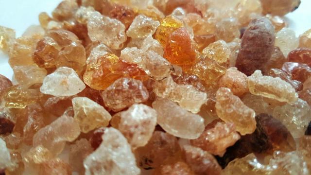 Gum Arabic