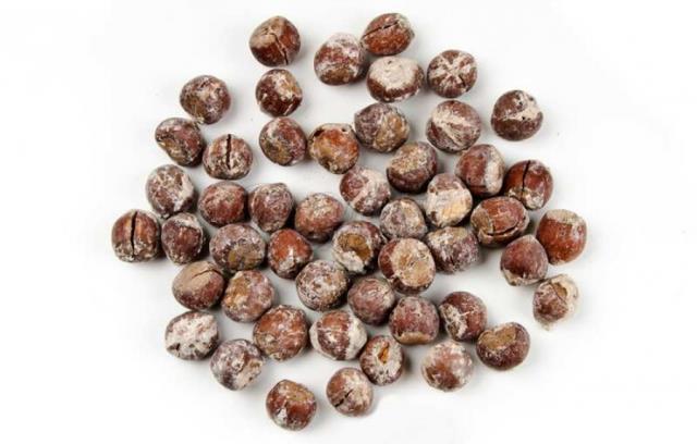 Roasted Nut In Shell