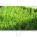 Artificial Turf Aizonia