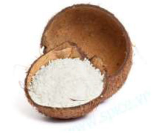 DESICCATED COCONUT ( DC )