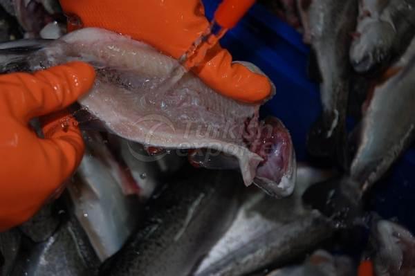 Alima Water Processing and Packaging Facility