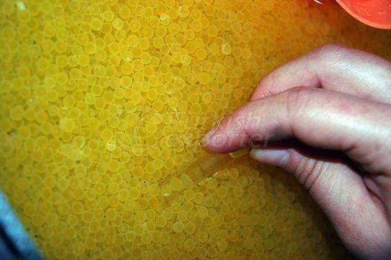 Alima Water Processing and Packaging Facility