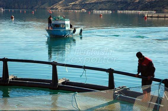 Alima Water Processing and Packaging Facility