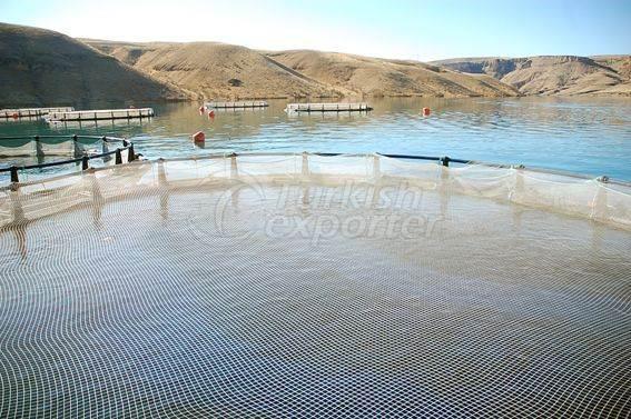 Alima Water Processing and Packaging Facility