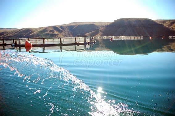 Alima Water Processing and Packaging Facility