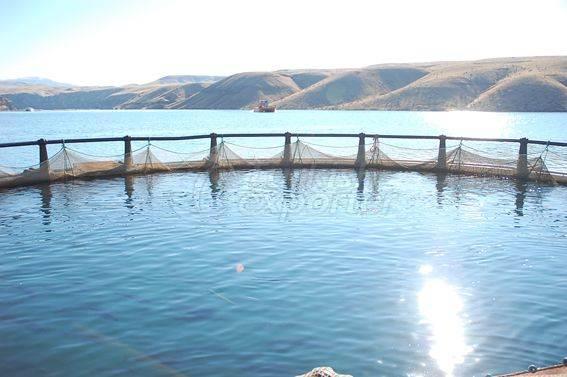 Alima Water Processing and Packaging Facility