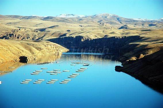 Alima Water Processing and Packaging Facility