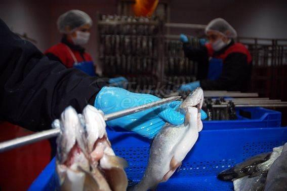 Alima Water Processing and Packaging Facility