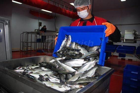 Alima Water Processing and Packaging Facility