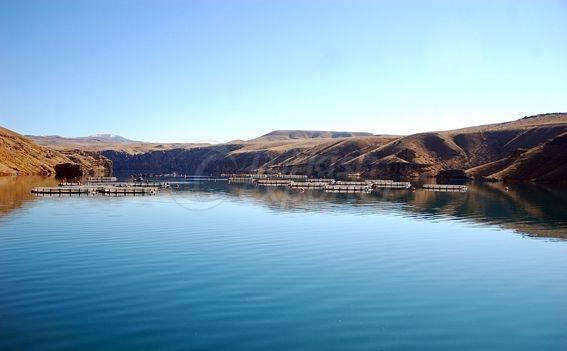 Alima Water Processing and Packaging Facility