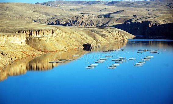 Alima Water Processing and Packaging Facility