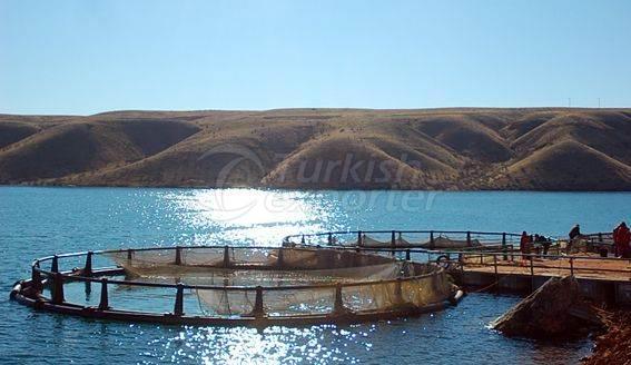 Alima Water Processing and Packaging Facility