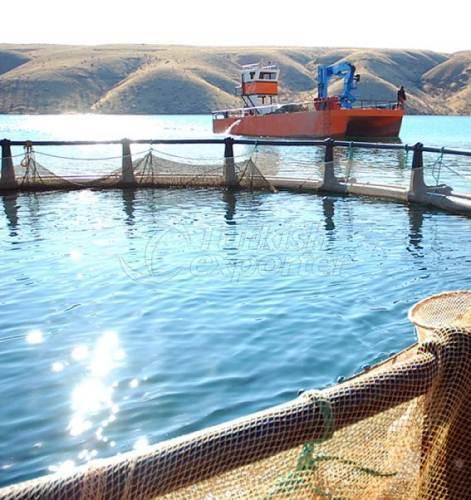 Alima Water Processing and Packaging Facility