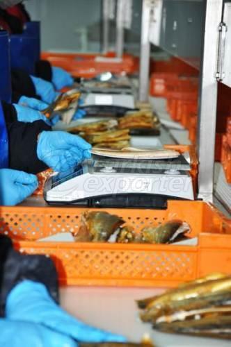 Alima Water Processing and Packaging Facility