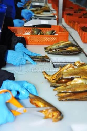 Alima Water Processing and Packaging Facility