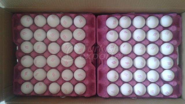 FRESH CHICKEN TABLE EGGS EXPORTER