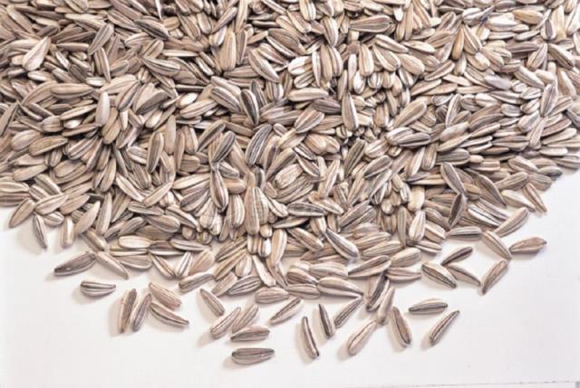 Sunflower Seeds