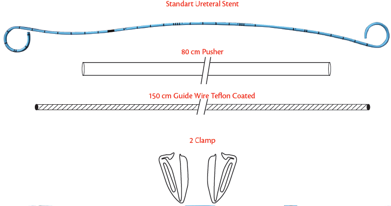 Ureteral Double J Stent Set