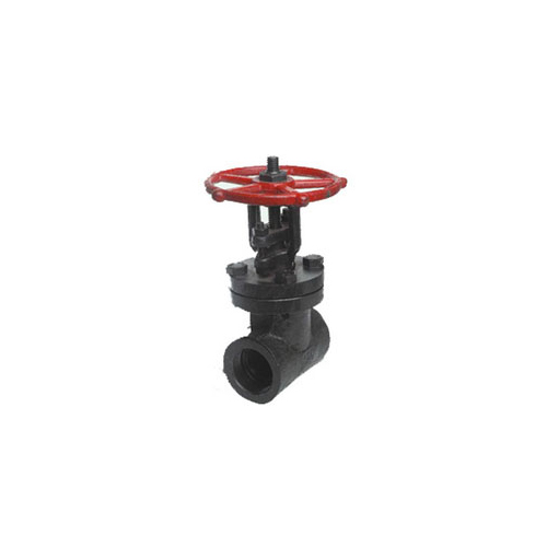 Forged Steel Globe Valve Class 800