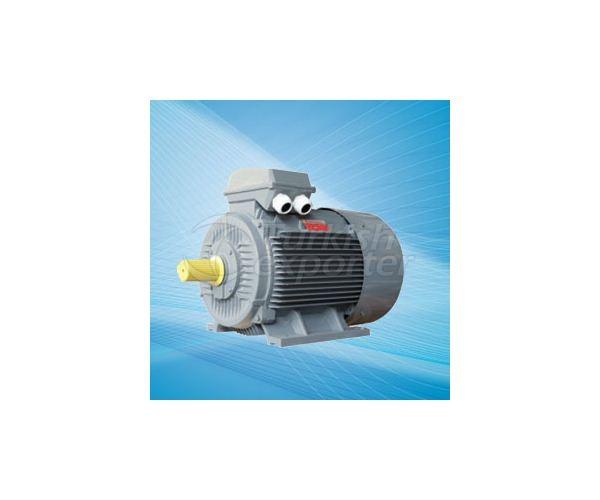 Cast Iron Electric Motors