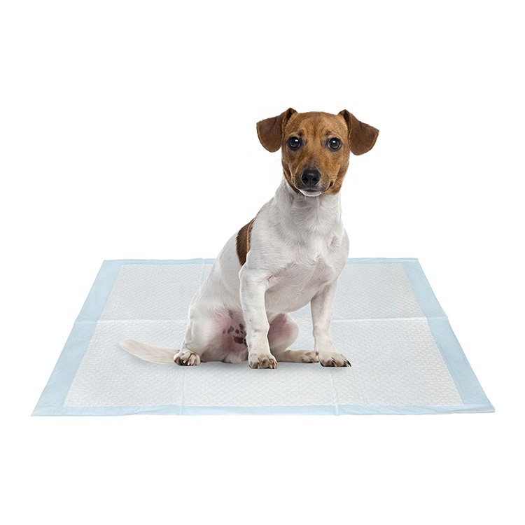 OEM customized brand super absorbent puppy training pee pads