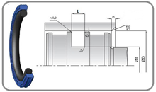 Piston Seal - W015 