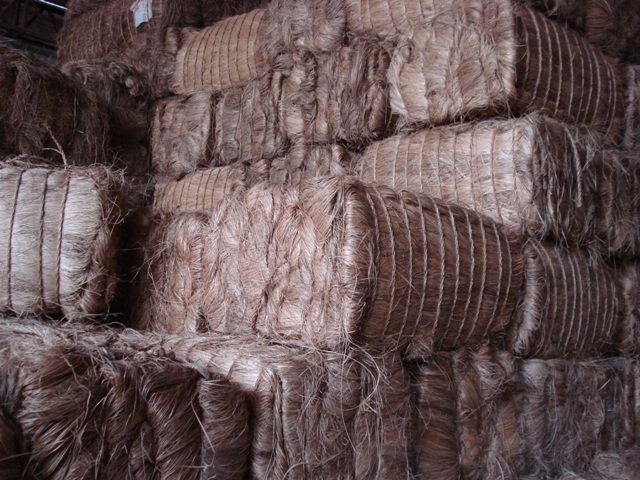 Abaca - Natural Raw Material