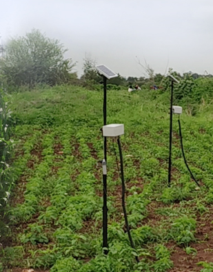 Soil Quality Monitoring