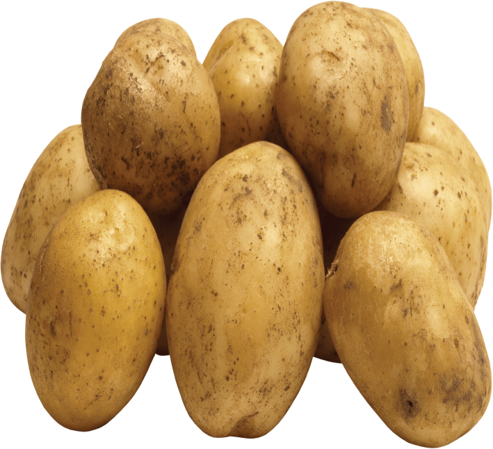 Potato