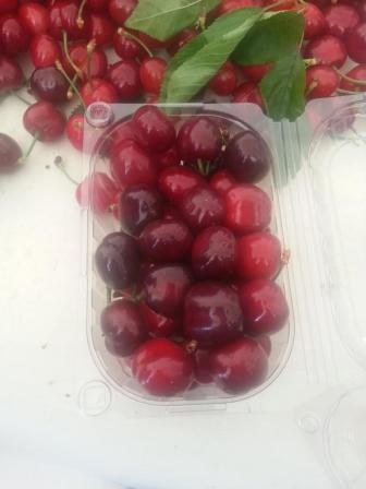 CHERRY